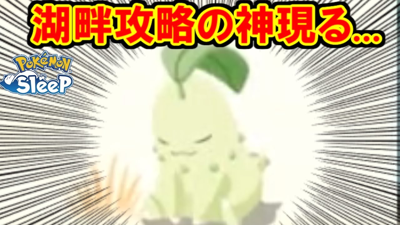 チコリータが今熱すぎるぅ！！！！！！【ポケモンスリープ】