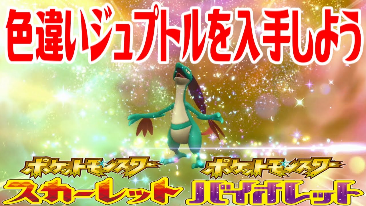 【ポケモンSV】色違いジュプトルを入手しよう 進化入手【ポケットモンスター スカーレット・バイオレット ゼロの秘宝 藍の円盤】Pocket Monsters