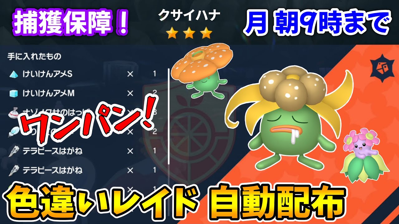 乱獲OK！色違いクサイハナ自動レイド配布会！【ポケモンSV】