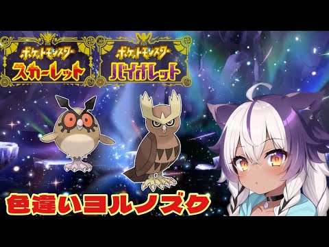 【ポケモンSV】色違いホーホー → ヨルノズク【ポケットモンスタースカーレットバイオレット】