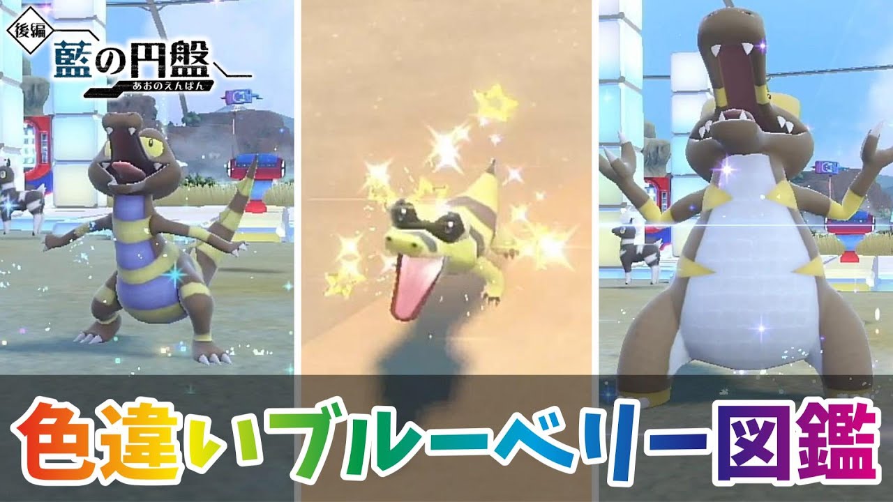 【ポケモンSV】色違いメグロコ・ワルビル・ワルビアル厳選！【色違いブルーベリー図鑑 ＃１２】