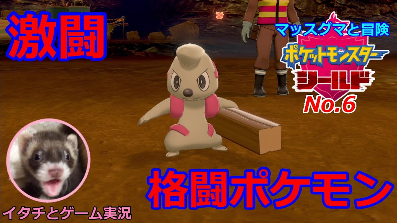 【ポケモン盾】マッスグマと冒険No.6【小さな悪魔】