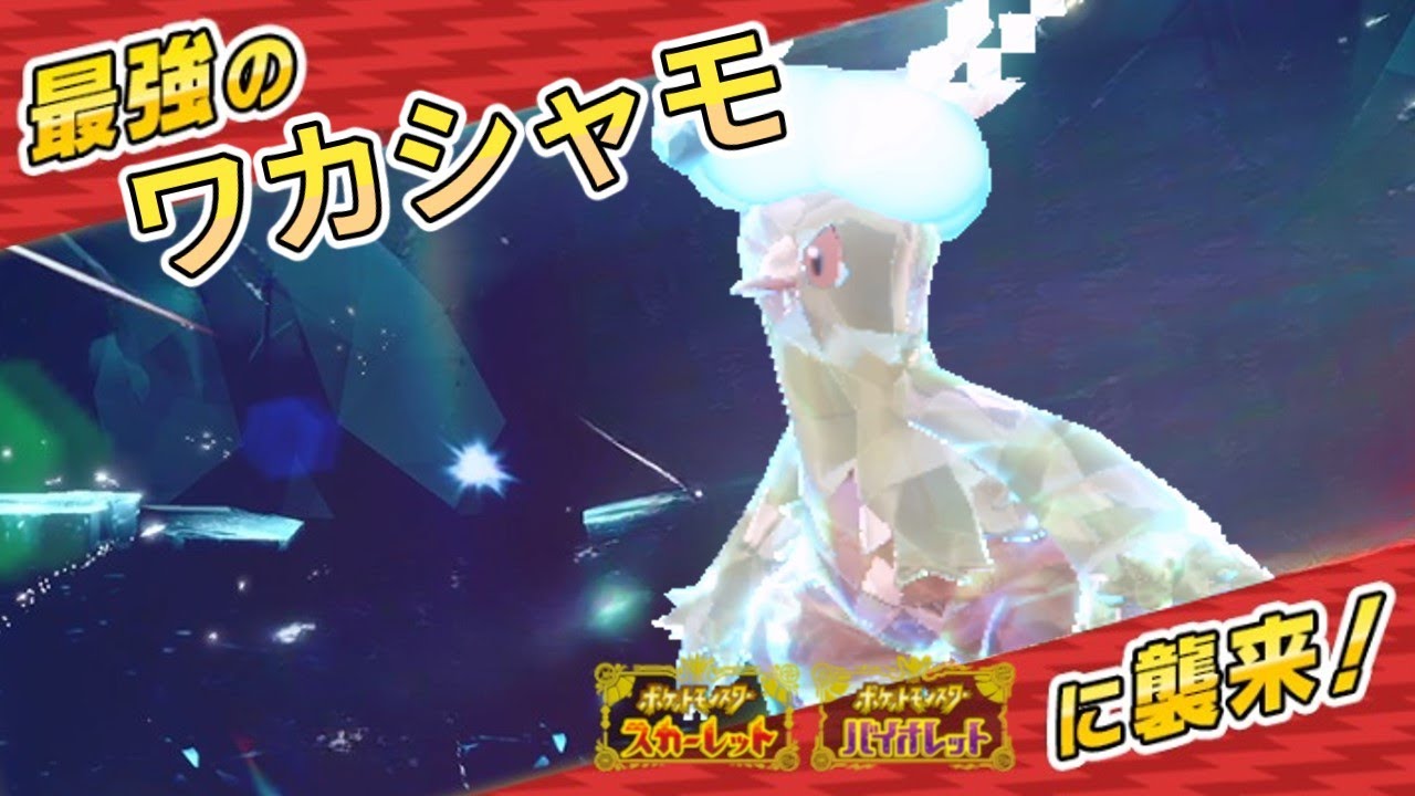 (進化の輝石があれば)最強(？)のワカシャモ【ゆっくり実況】【ポケモンSV】