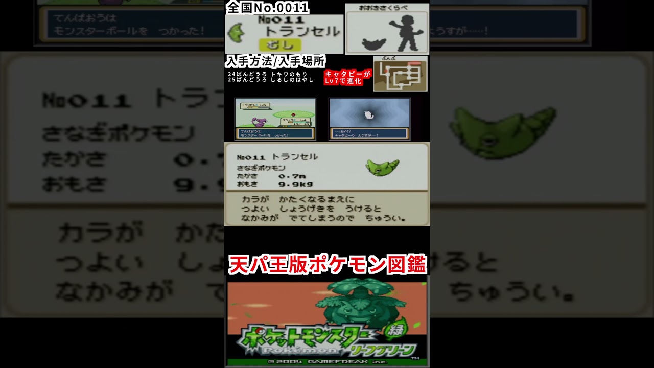 天パ王版　ポケモン図鑑　全国No.0011 タイトルNo.011 トランセル　＃ポケモン　＃ポケットモンスター　＃Pokémon