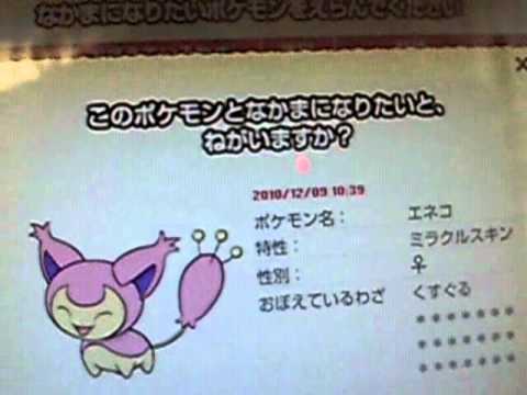 PDW エネコ♀確認