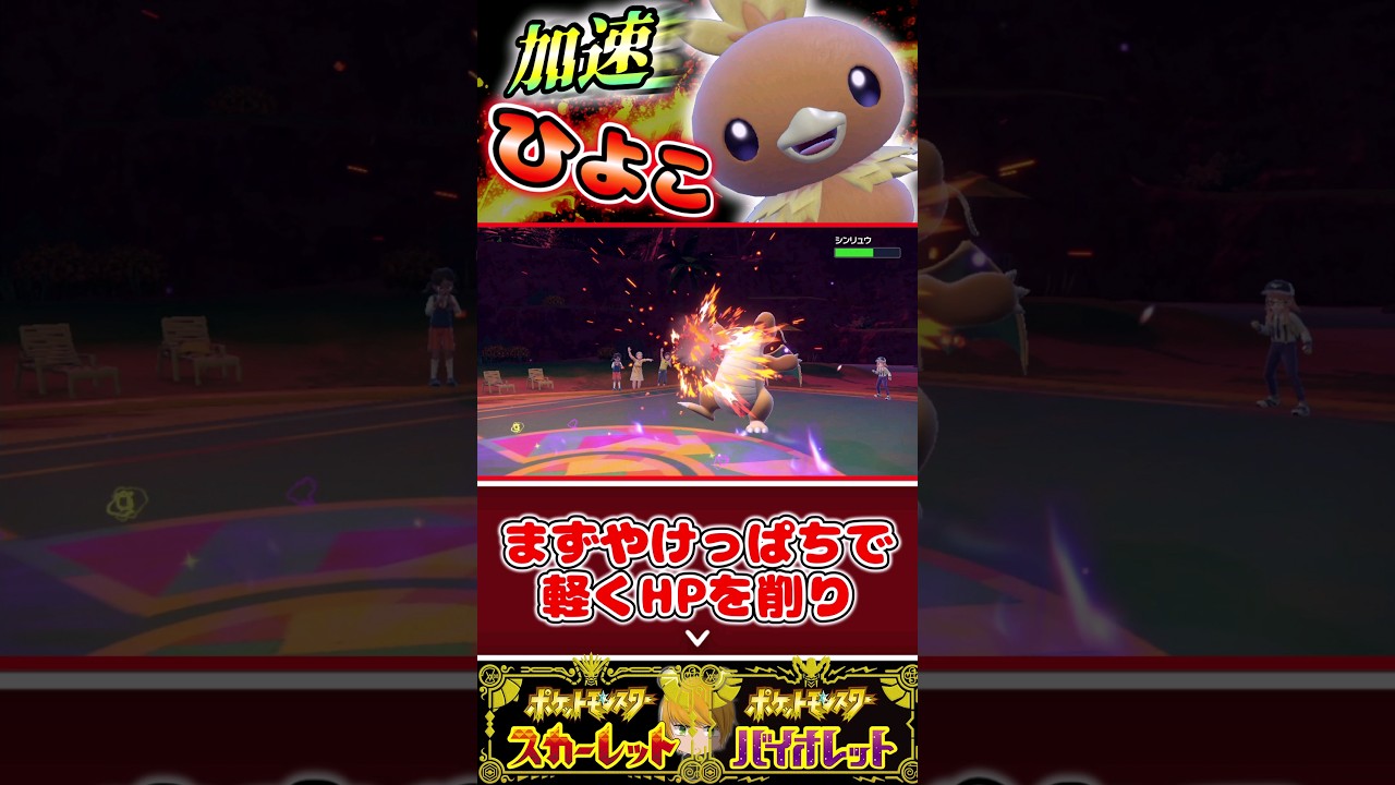 【アチャモ】種族値310しかないけどサイコフィールドの恩恵を受け3タテ目指します!!#pokemon #ポケモンsv #ゆっくり実況