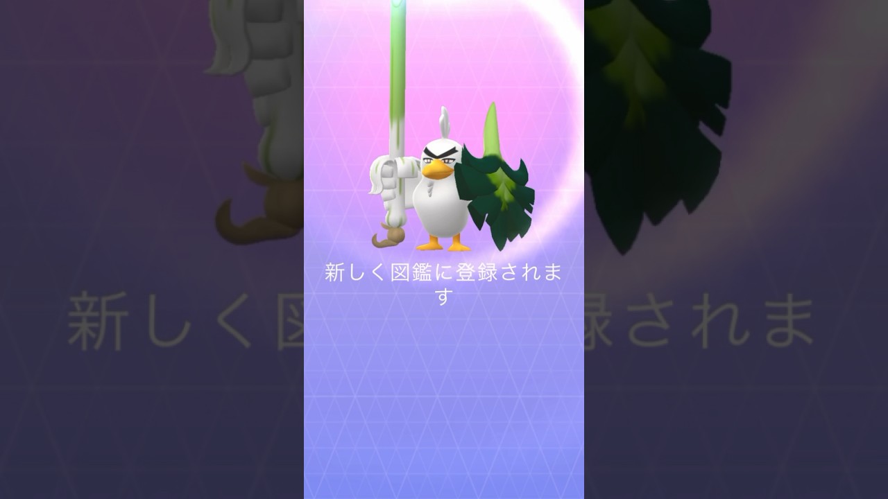 【 ポケモンGO 】カモネギ(ガラル) → ネギガナイト 進化！【 うさぴよの巣 】#sirfetchd #farfetchd #pokemongo #ポケモンgo