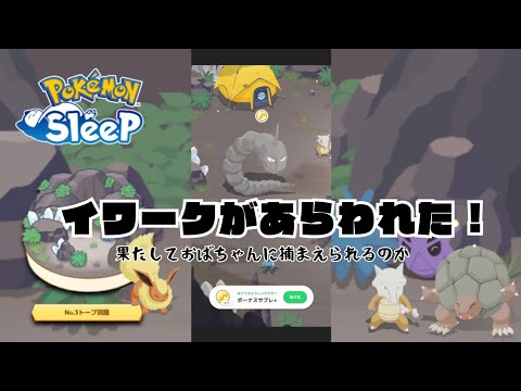 【ポケモンスリープ】こっこおばちゃんの睡眠リサーチ記録 179日目