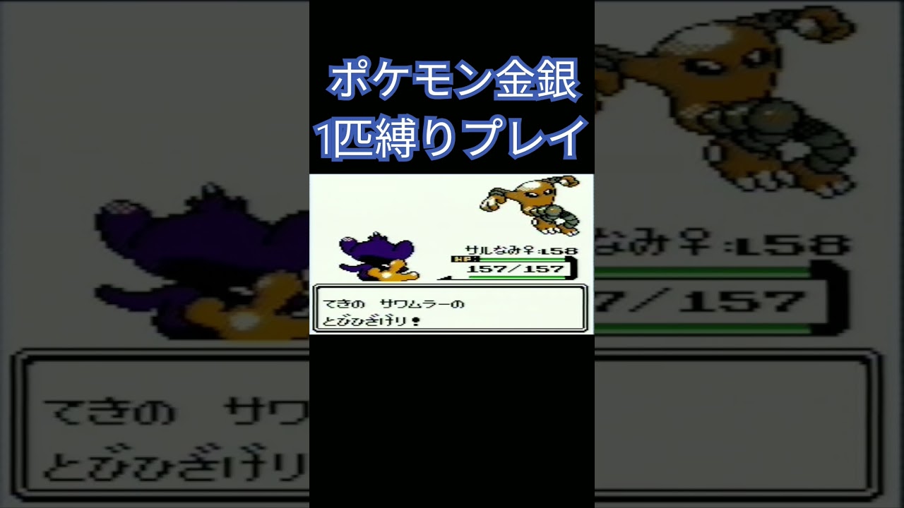 【ポケモン金銀】ポケモン1匹縛りプレイ!!エイパムver【縛りプレイ】#ポケモン金銀 #縛りプレイ #エイパム #ゲーム実況