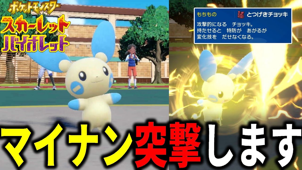 マイナンに"とつげきチョッキ"を持たせて突撃させたらガチすぎたｗｗｗ【ポケモンSV】