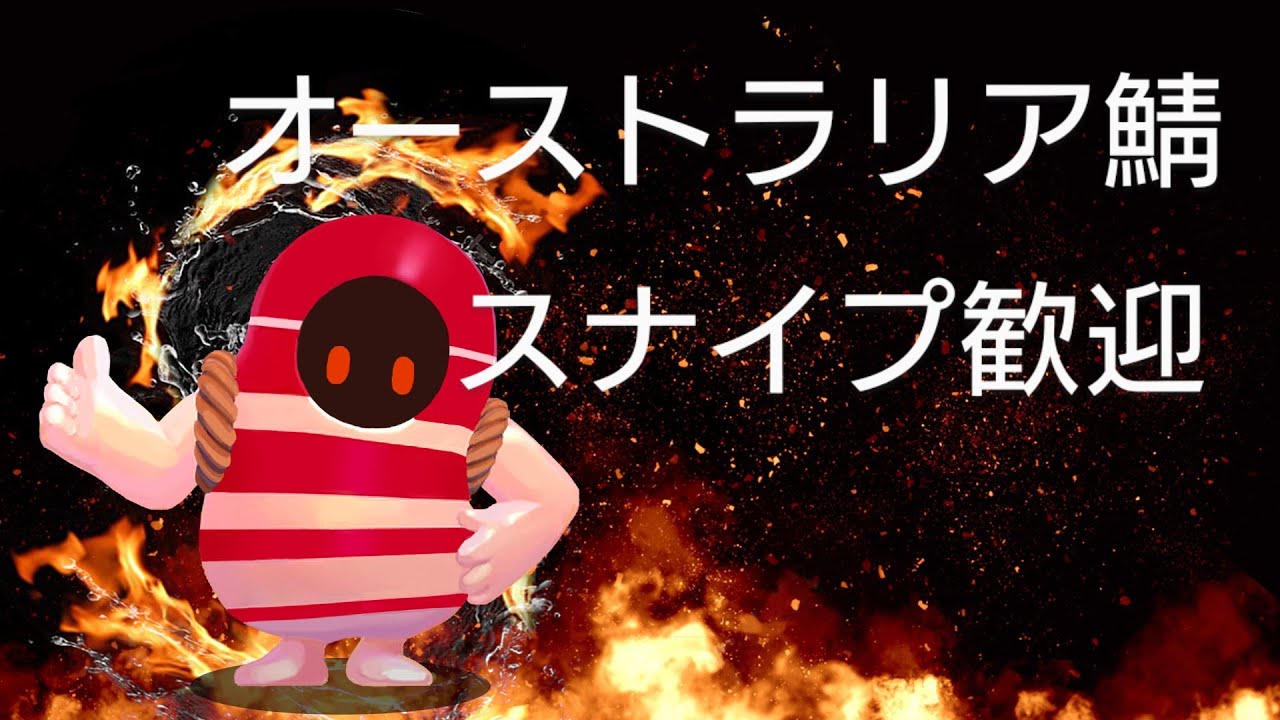 fallguys フォールガイズ　スナイプ型　久々のオーストラリアサーバー　ソロショーメインで遊ぶ