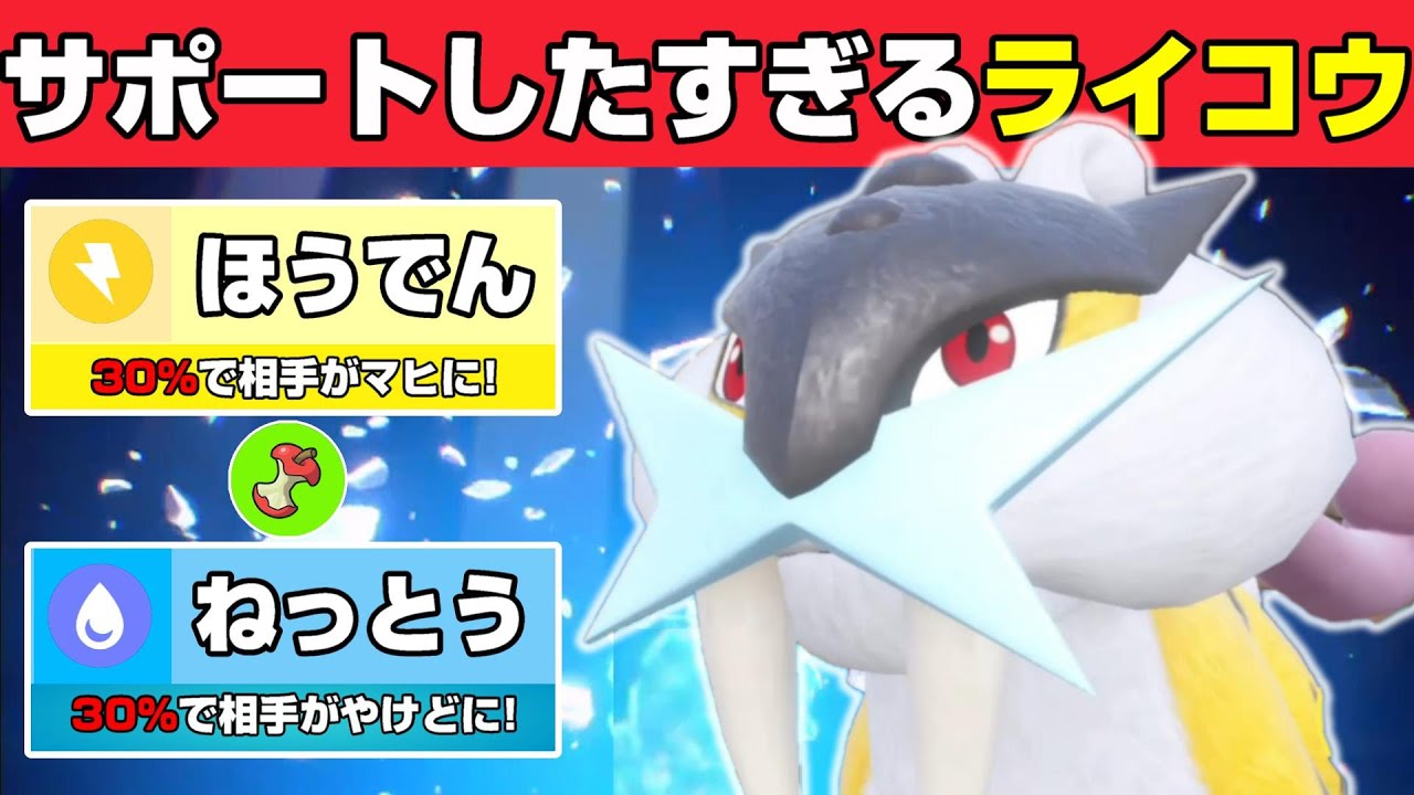 スイクン,エンテイだけじゃない!!   『ライコウ』はサポート型がおススメです　【ポケモンSV】