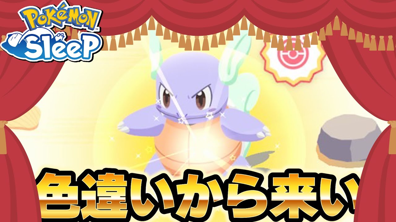 カメックス厳選悩んでたら色違いのほうから来たので採用不可避【ポケモンスリープ/シアンの砂浜】