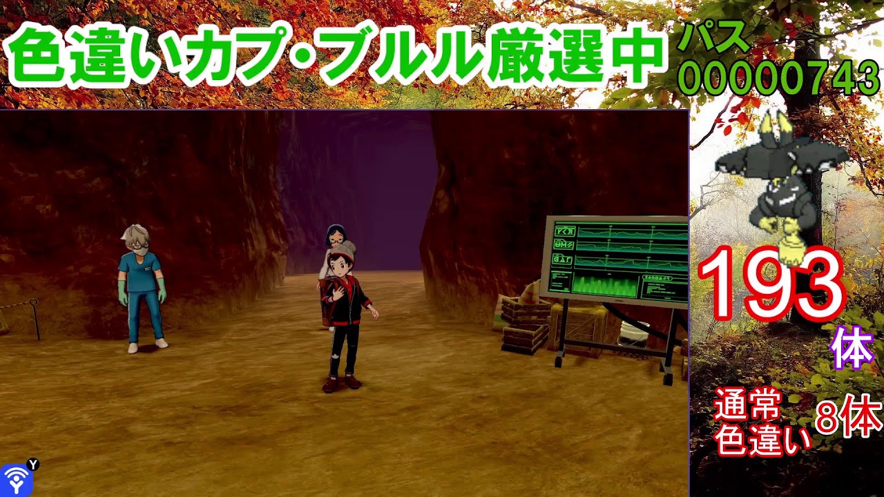 【ポケモン剣盾】いつ終わるのだろうか。カプ・ブルル色違い以外の色違いが出たら即配布！カプ・ブルル色厳選【ダイマックスアドベンチャー】