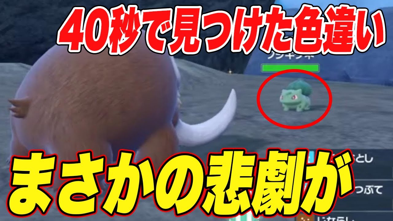 【ポケモンSV】捜索開始40秒で発見した色違いフシギダネに悲劇が…【スカーレットバイオレット】