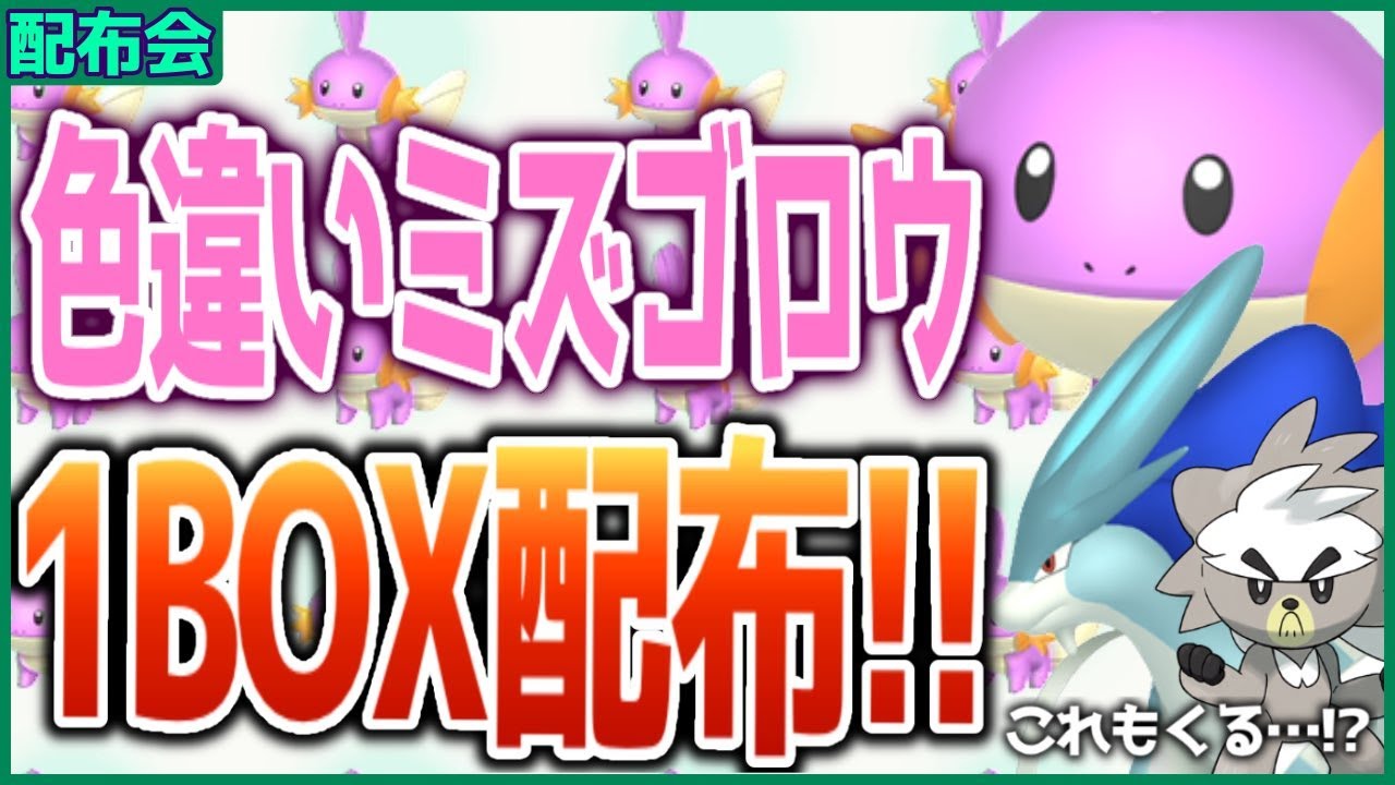 色違いミズゴロウ１BOX配布会！！色違いスイクン＆ダクマもきた！概要欄必読！！ 【ポケモンSV スカーレット バイオレット】