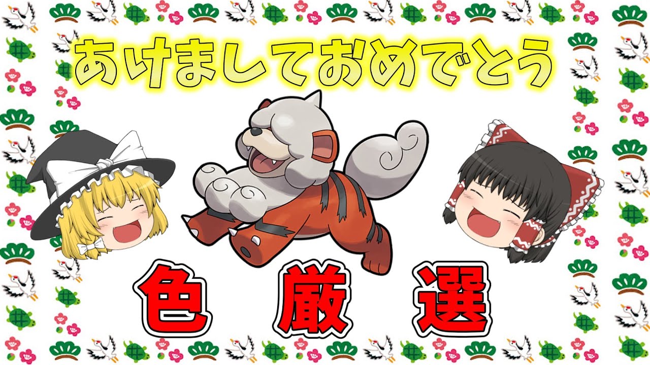 【ゆっくり実況】正月なので金色のヒスイガーディを色厳選！【ポケモンSⅤ】