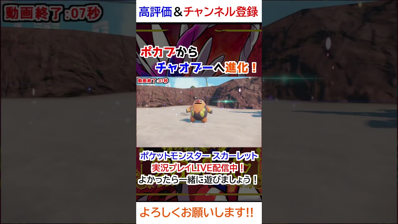 ポカブ→チャオブー進化【ポケモンSV】