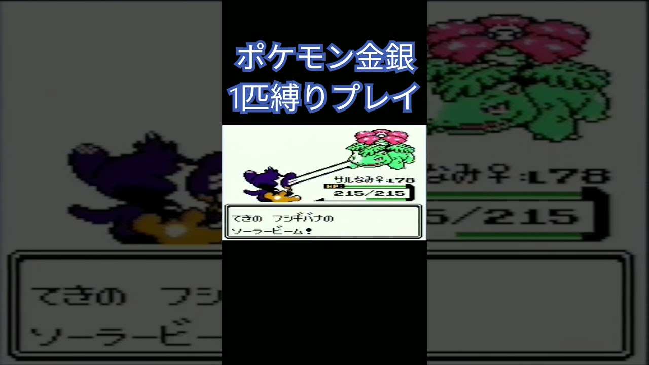 【ポケモン金銀】ポケモン1匹縛りプレイ!!エイパムver【縛りプレイ】#ポケモン金銀 #縛りプレイ #エイパム #ゲーム実況