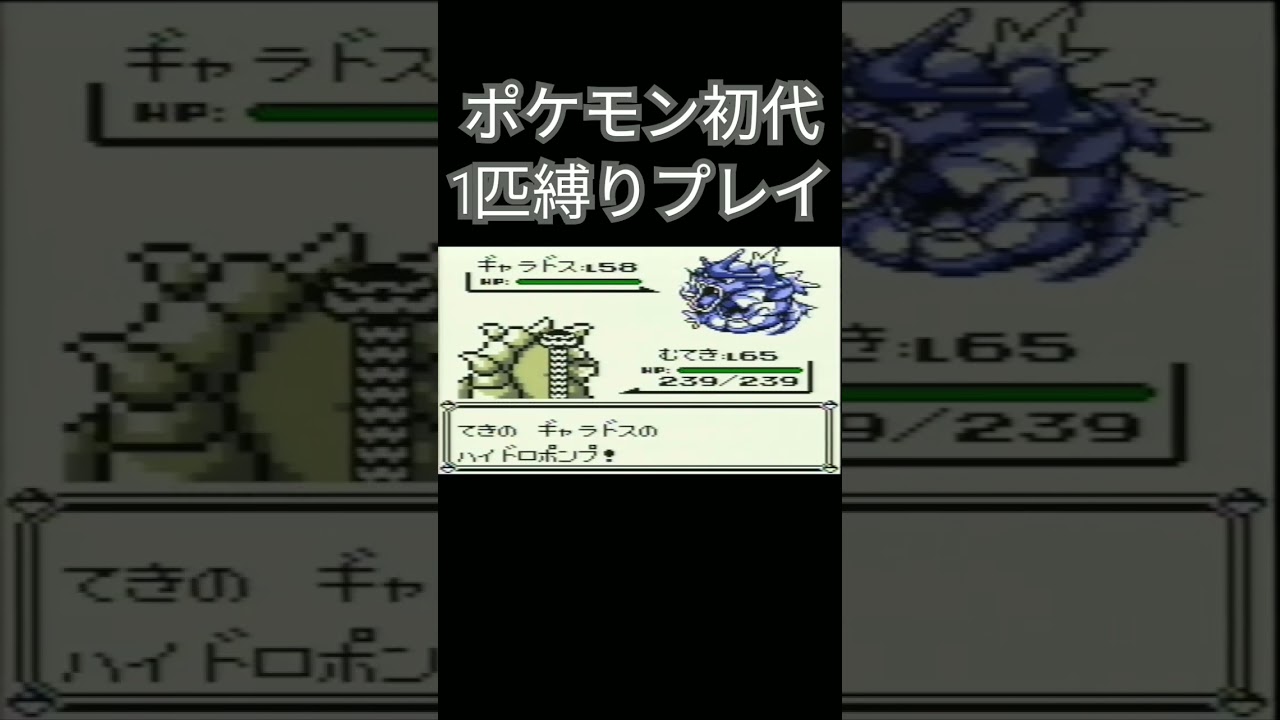 【ポケモン初代】ポケモン初代1匹縛りプレイ!!サイホーンver【縛りプレイ】#ポケモン初代 #縛りプレイ #イワーク #ゲーム実況