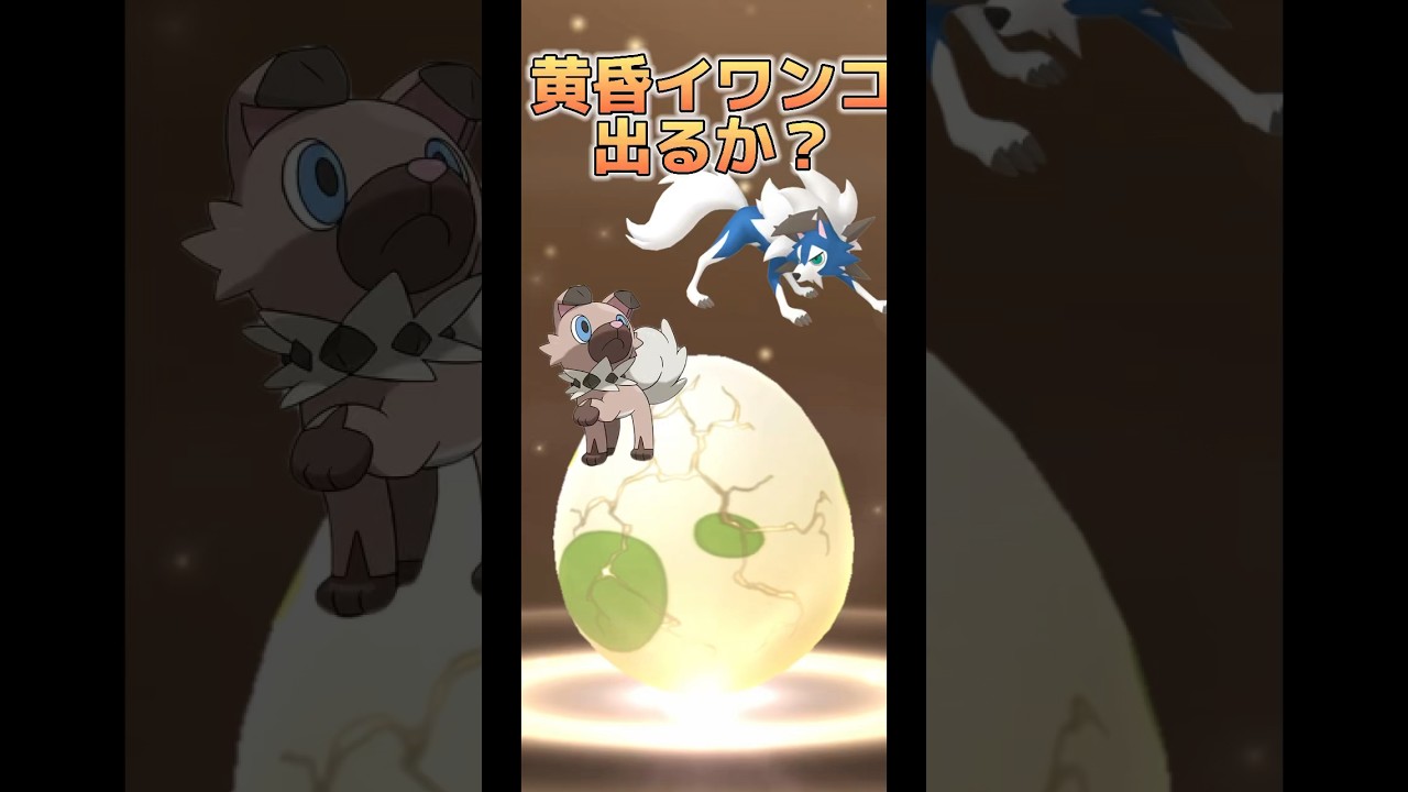 【ポケモンGO】2km卵黄昏イワンコ出るか？ #ポケモンgo #pokemongo #pokémongo #ポケモン