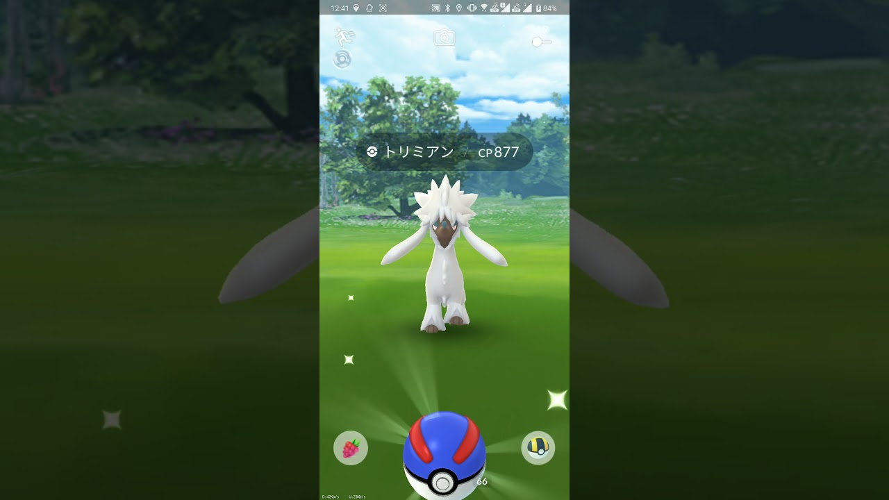 【ポケGO 2024】005：大発見！「296回目：トリミアン」(星の砂2000+モンスターボール20個)