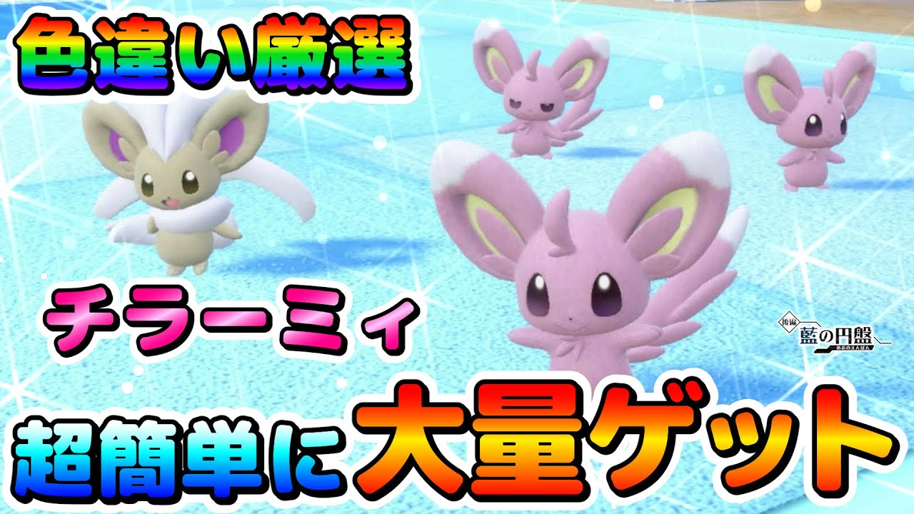 【色厳選】チラーミィの色違い厳選オススメ場所！大量発生無しでも簡単に効率良く厳選出来る！色違いポケモン配布企画もあります！【ポケモンSV】