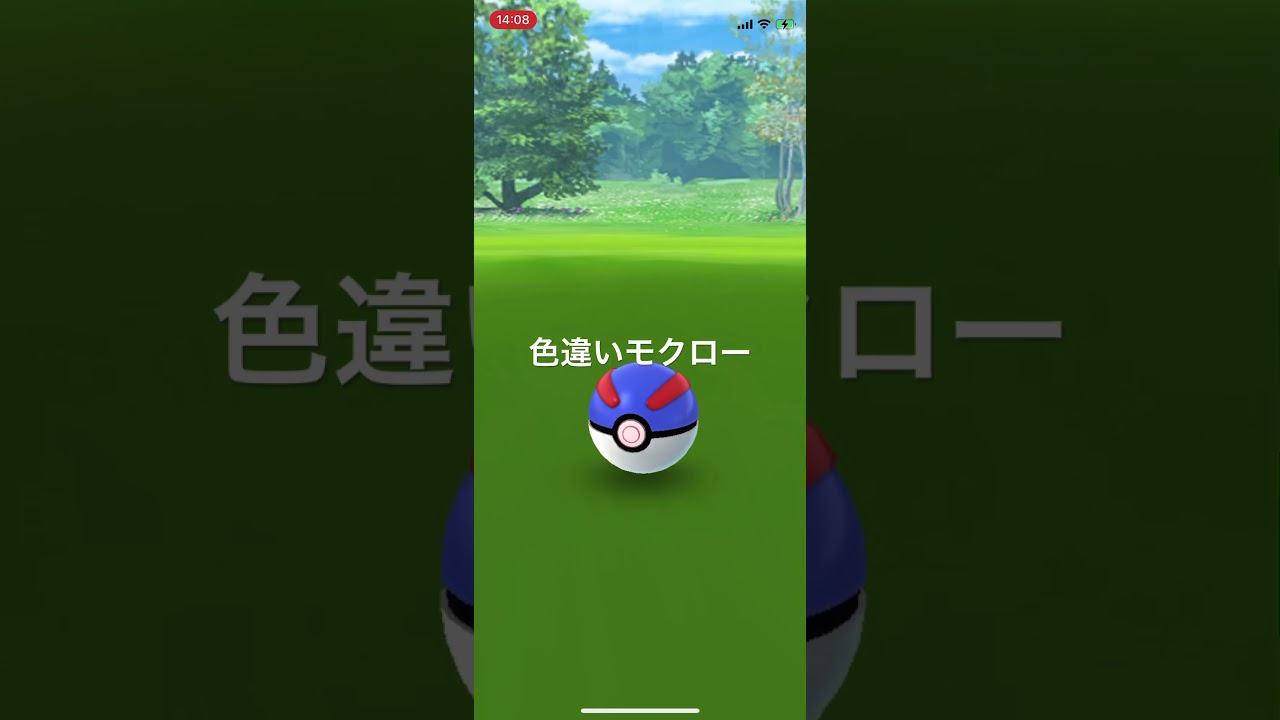 ポケモンGO 色違いモクロー出現！ #pokémon #ポケモン