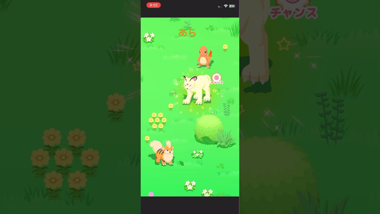 #ポケモンスリープ  色違いペルシアンでた