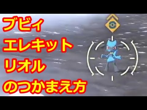 【ポケモンレジェンズアルセウス】ブビィ・エレキット・リオルの捕まえ方