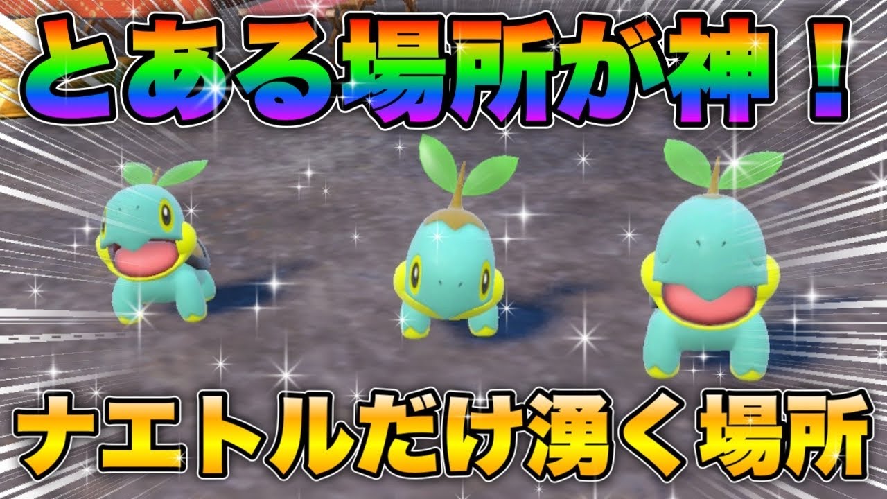 【ポケモンsv厳選】色違いナエトルの効率的な入手方法！