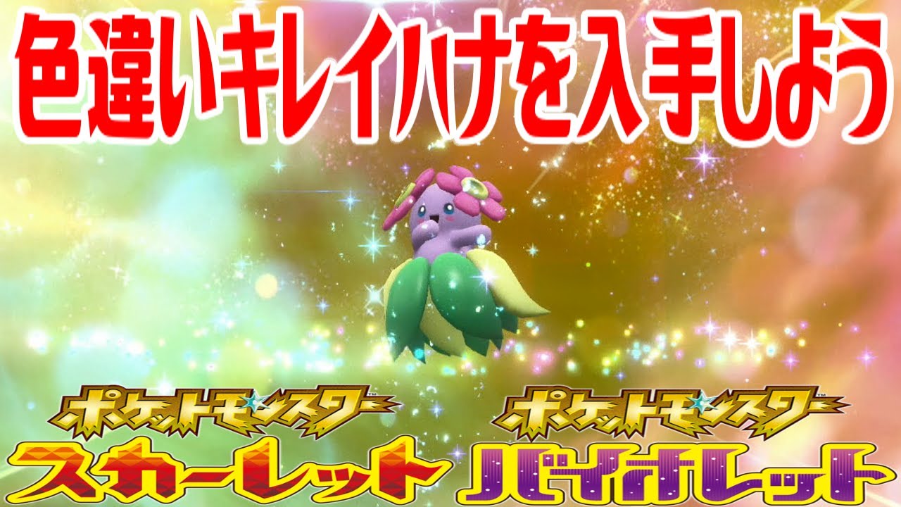 【ポケモンSV】色違いキレイハナを入手しよう 進化入手【ポケットモンスター スカーレット・バイオレット ゼロの秘宝 藍の円盤】Pocket Monsters