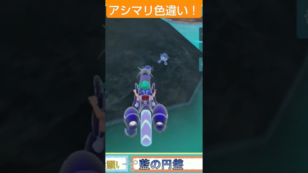 アシマリの色違いだー！ #ポケモンsv #藍の円盤
