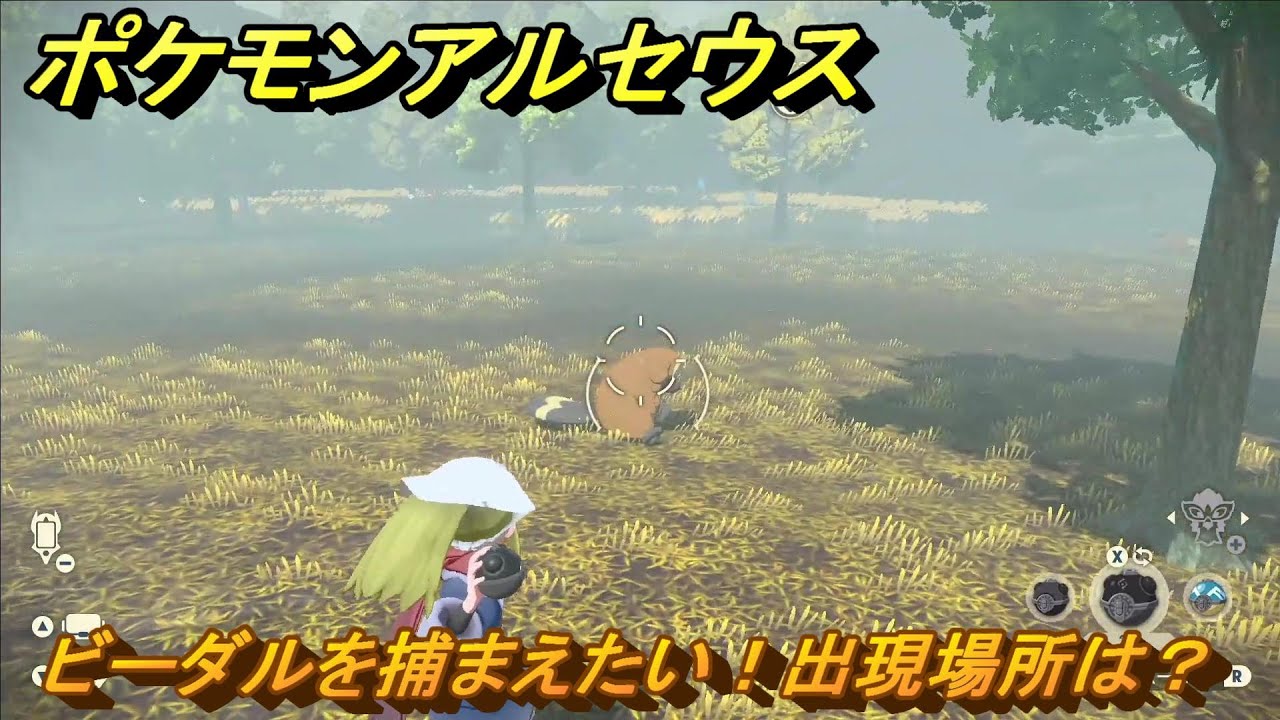 ポケモンアルセウス　ビーダルを捕まえたい！出現場所は？　＃２５２　【Pokémon LEGENDS アルセウス】