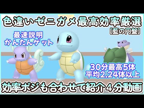 色違いゼニガメ最高効率＆効率ポジ 4分まとめ動画 30分最高5体平均2.24体以上 #ポケモンsv #最高効率 #色違い #ゼニガメ ＃カメール ＃カメックス #藍の円盤 #御三家 #ピクニックなし