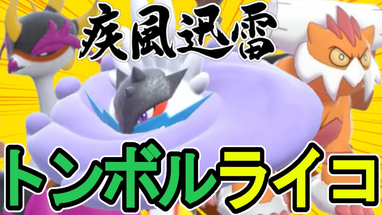 【猛る雷光】タケルライコのガチ構築！ランドロスとキチキギスが最高の相棒となる理由！