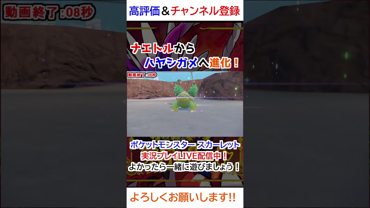 ナエトル→ハヤシガメ進化【ポケモンSV】