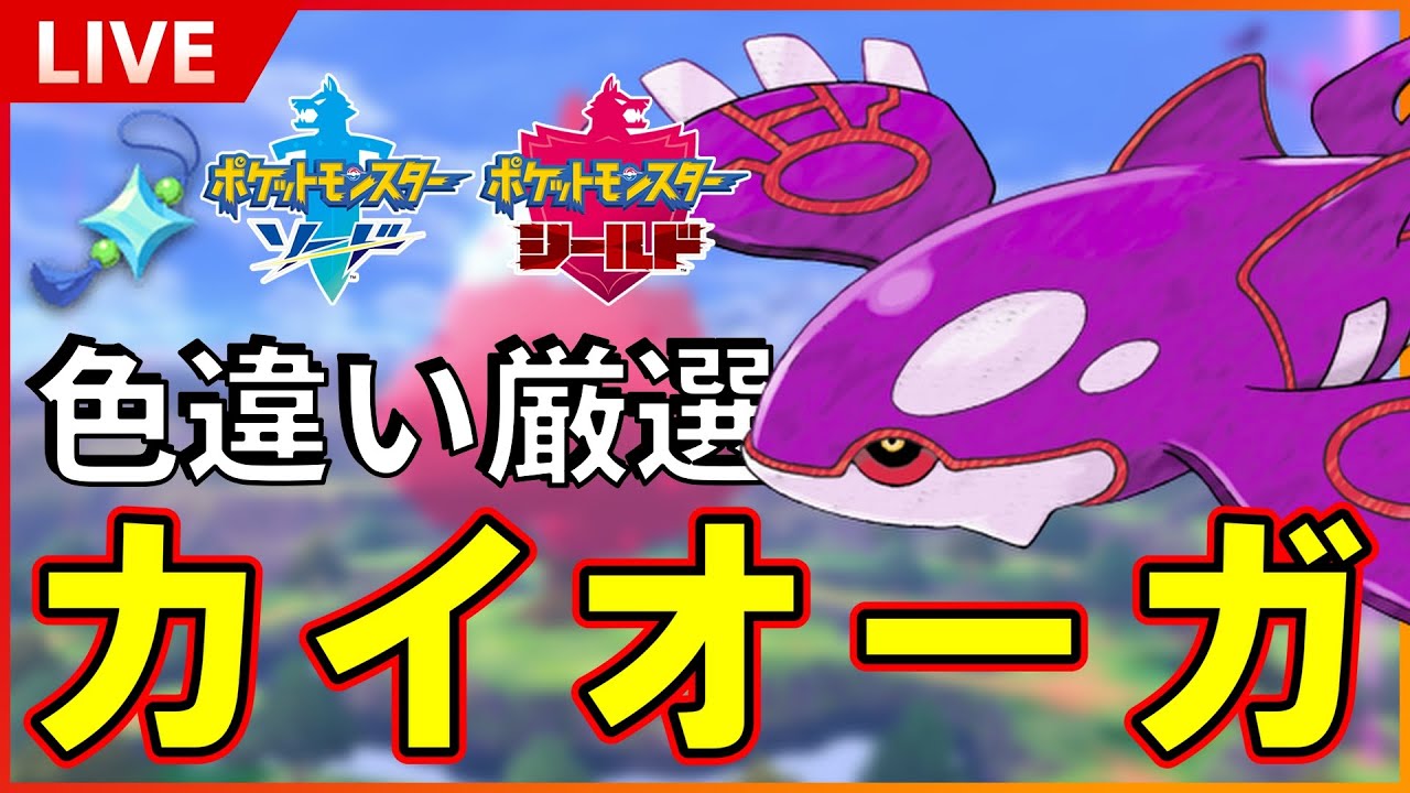 【初見様大歓迎】 ダイマックスアドベンチャーで色違いカイオーガ厳選！ 光るお守りあり！SP！ その１３ 【ポケモン ソード / シールド】