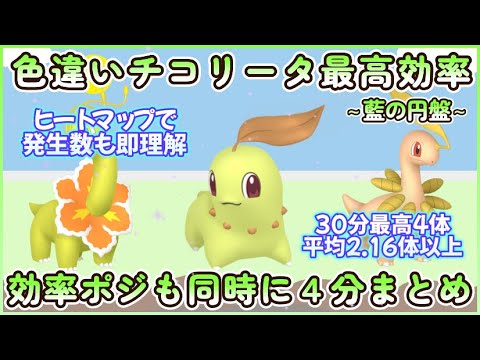 色違チコリータ最高効率厳選4分まとめ動画ポジション毎に説明検証中最高4体平均2.16体#ポケモンsv #最高効率 #色違い #チコリータ ＃ベイリーフ ＃メガニウム #藍の円盤 #御三家