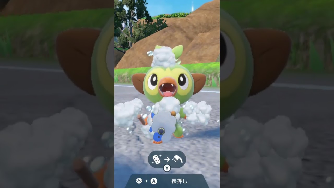 サルノリ Grookey【ポケモンsv】