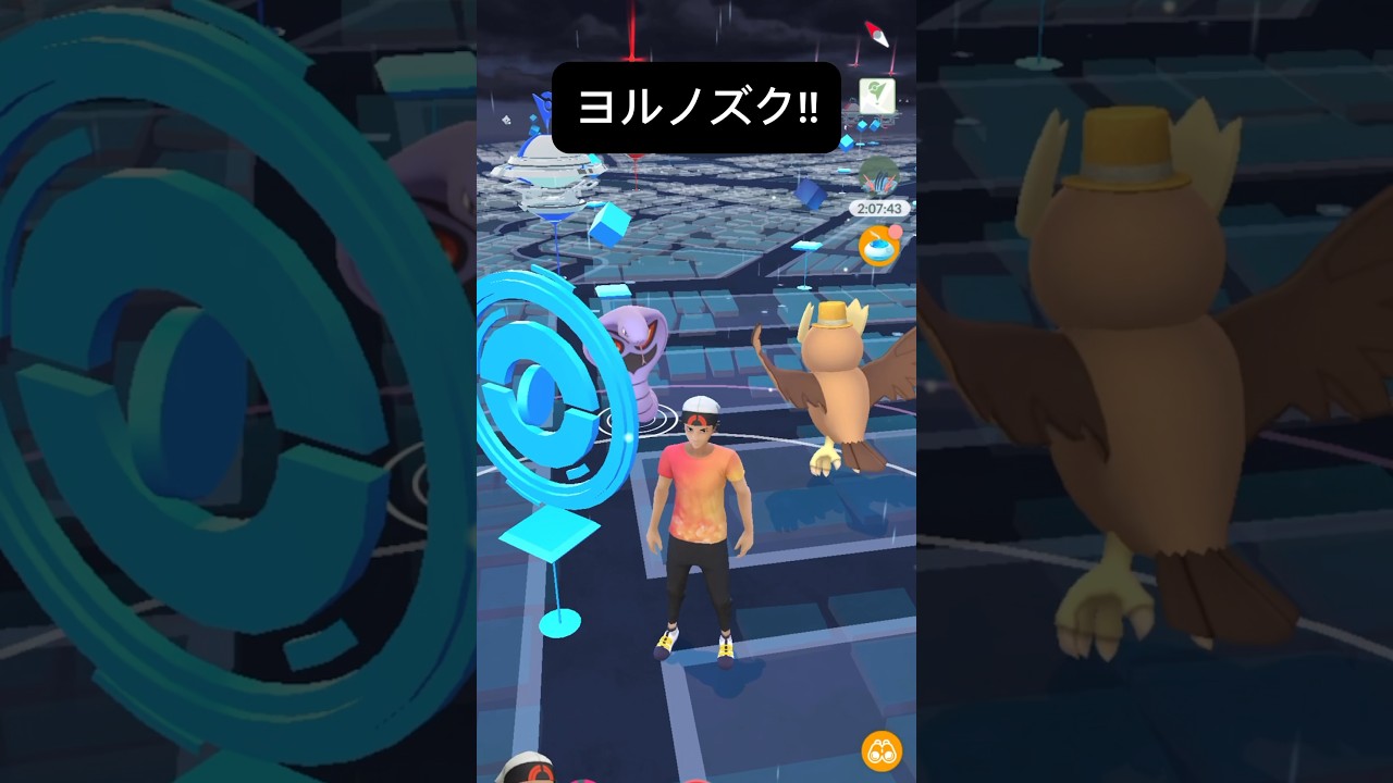 【ポケモンGO】ヨルノズクが現れた!! (お正月2024 Ver.)【✨Noctowl Pokémon GO X Pokemon Card Artwalk ✨】