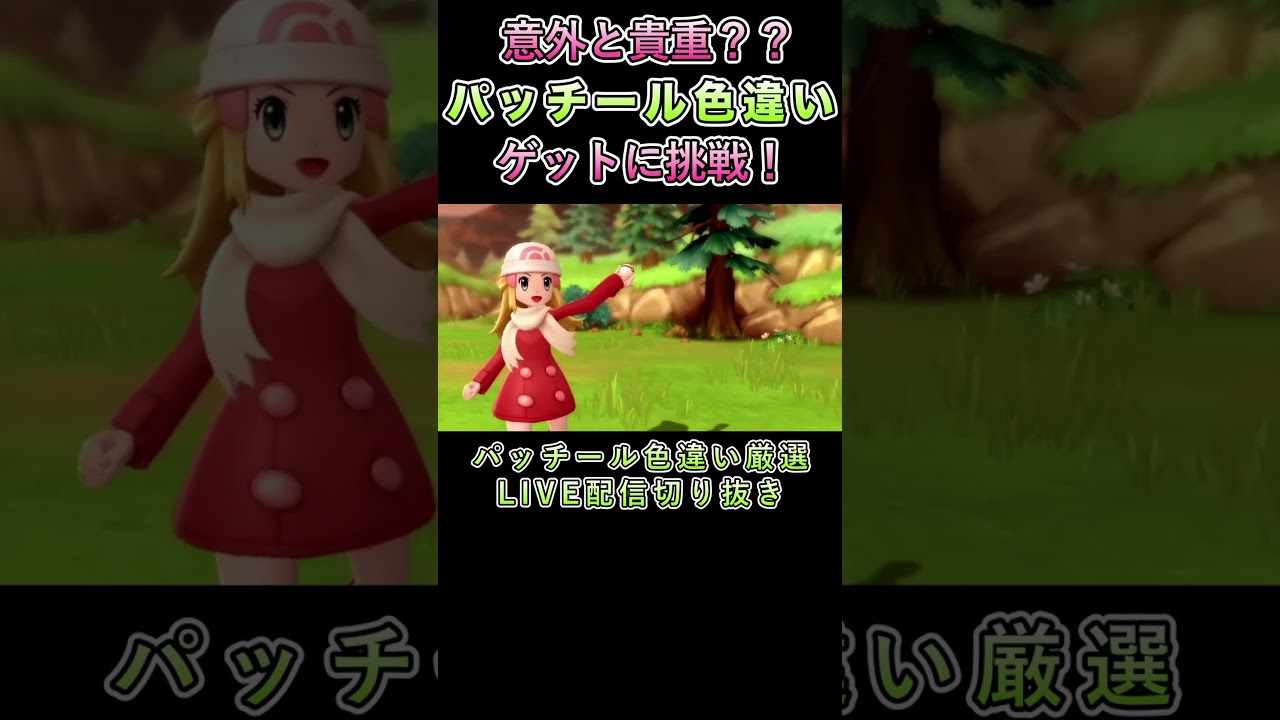 パッチール色違い　#shorts  #ポケモン  #パッチール #ポケットモンスター #ダイパ