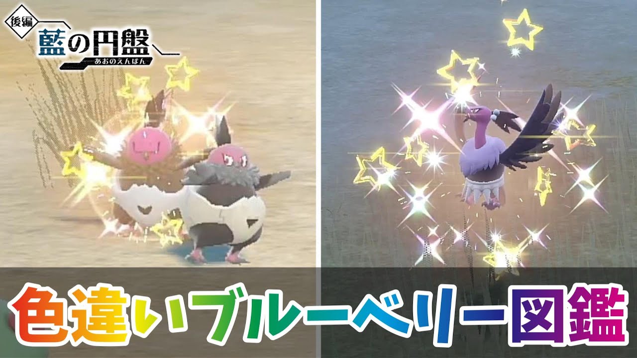 【ポケモンSV】色違いバルチャイ・バルジーナ厳選！【色違いブルーベリー図鑑 ＃１５】