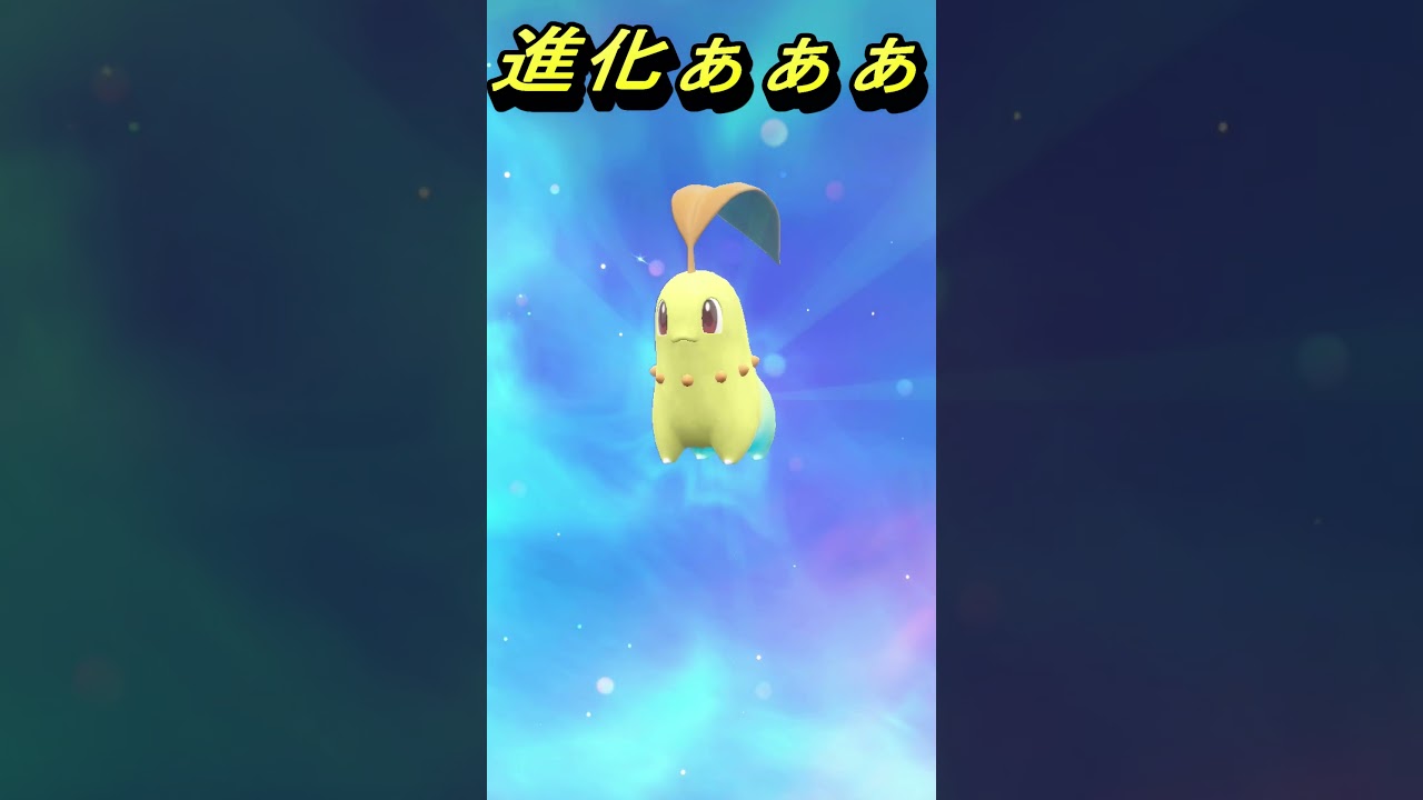 【ポケモンSV】御三家色違い！可愛いメガニウム(チコリータ)