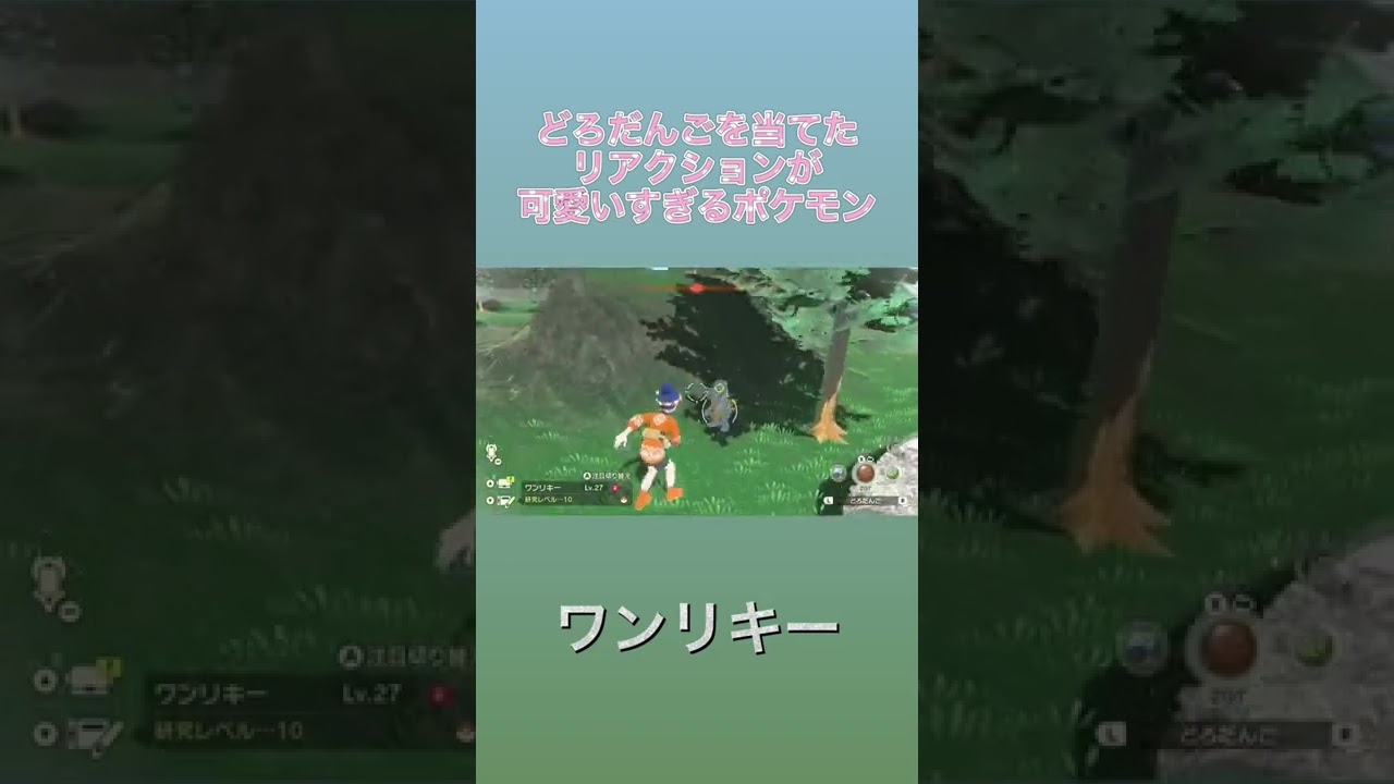 【Pokémon LEGENDS アルセウス】ワンリキーにどろだんごを当てたらリアクションが可愛すぎた！！！