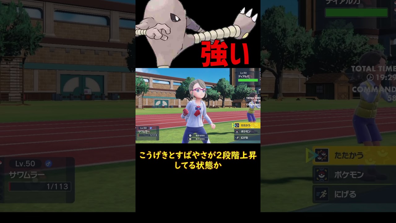 普通に強いサワムラー