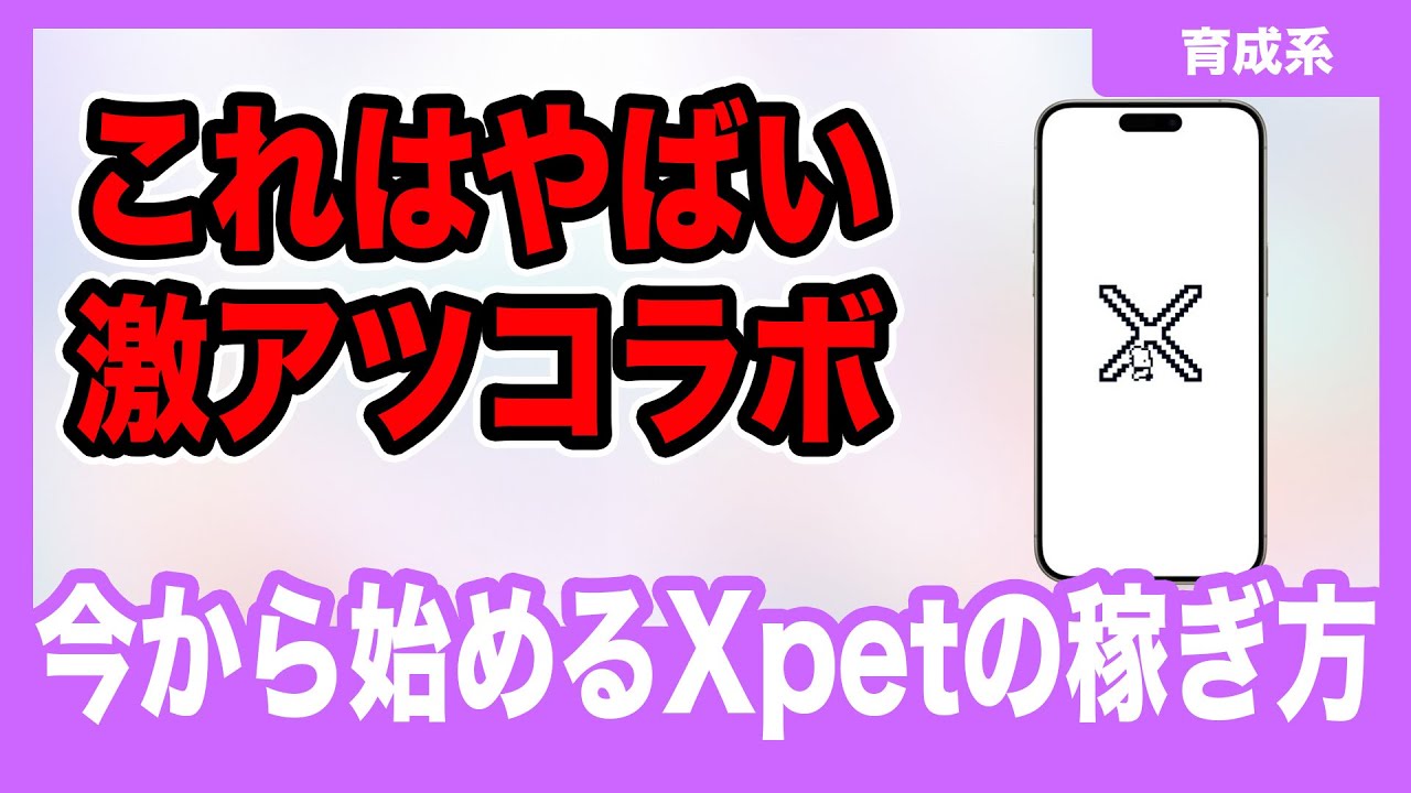 【激アツコラボ】今から始めるXPETの稼ぎ方を徹底解説