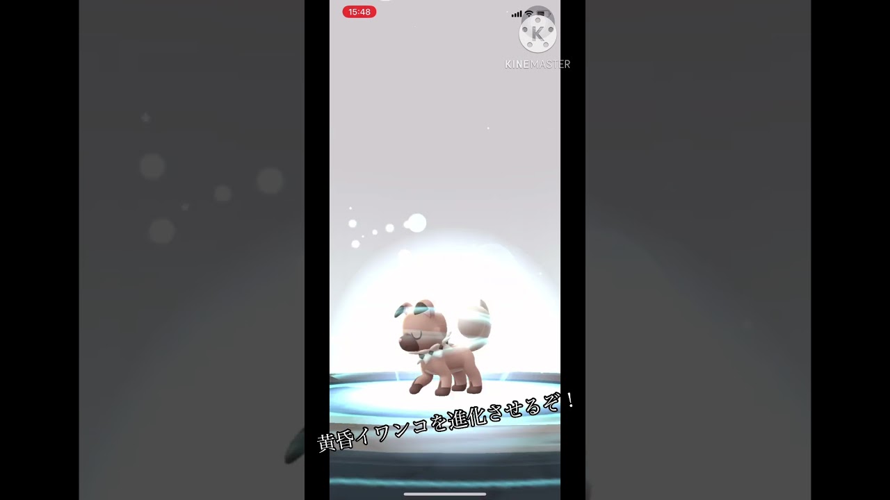 【ポケモンGO】黄昏イワンコを進化させてみるだけの動画！ #ポケモンgo