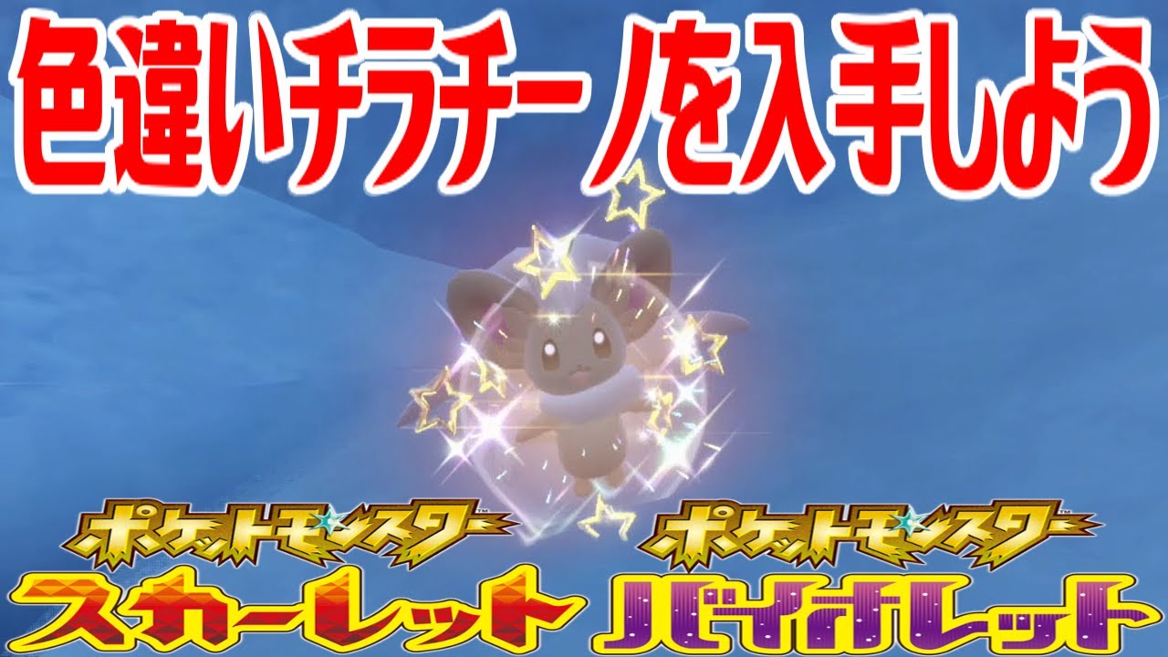【ポケモンSV】色違いチラチーノを入手しよう【ポケットモンスター スカーレット・バイオレット ゼロの秘宝 藍の円盤】Pocket Monsters