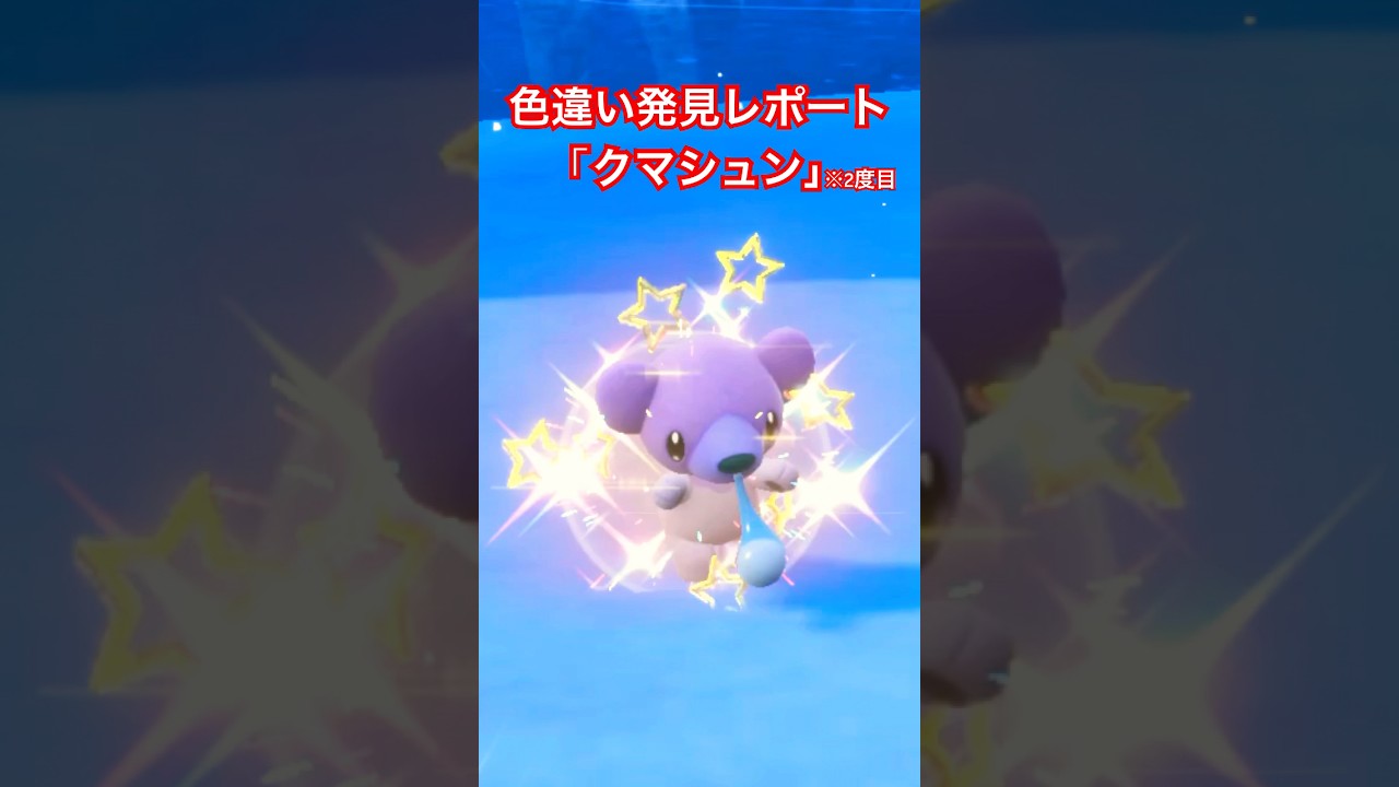ポケモンSV 色違い発見レポート「クマシュン」※2度目　#ポケモンsv色違い #pokemon